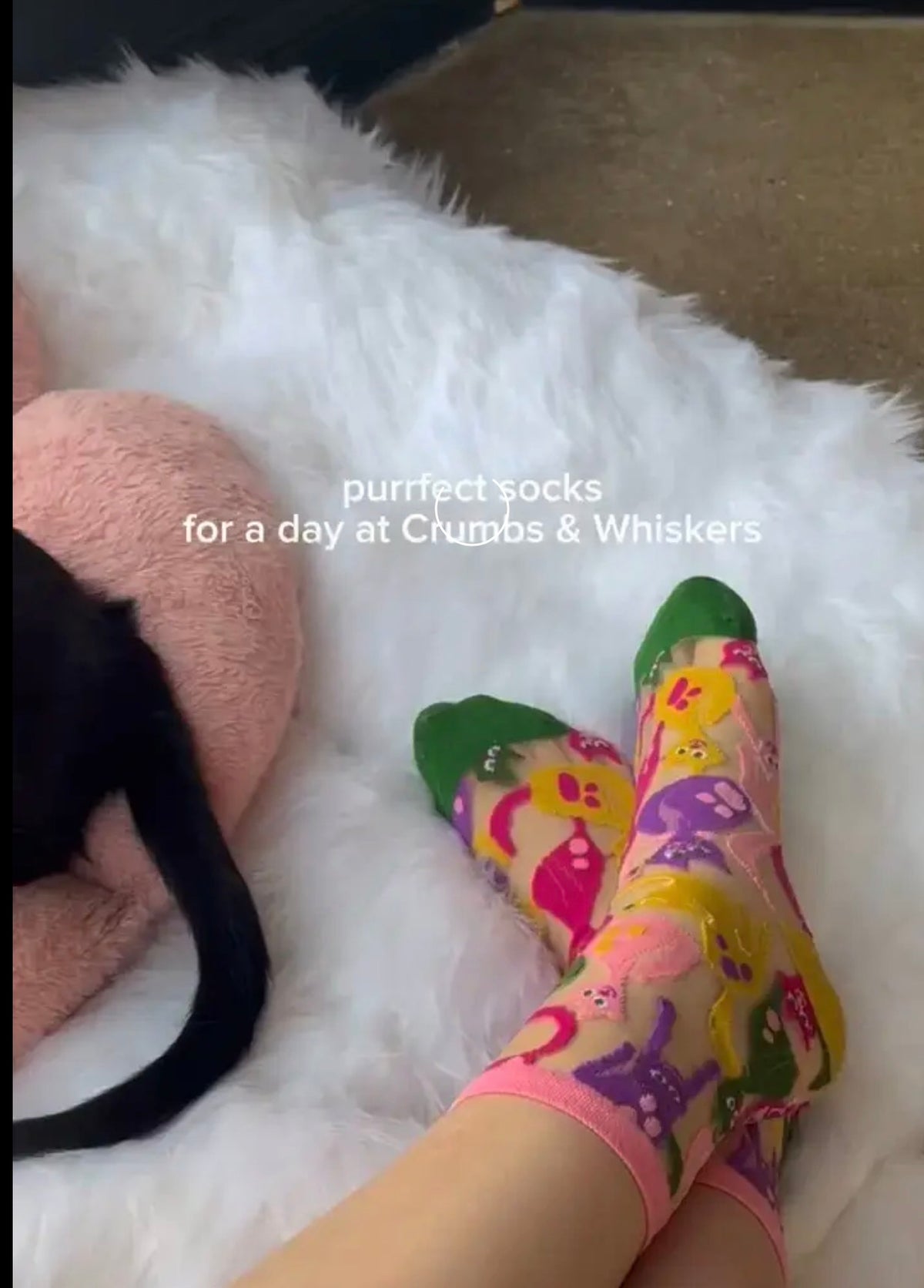 Dopamine cats sheer crew socks
