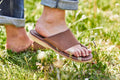 Duckfeet Mando - Stay Wild Collective  