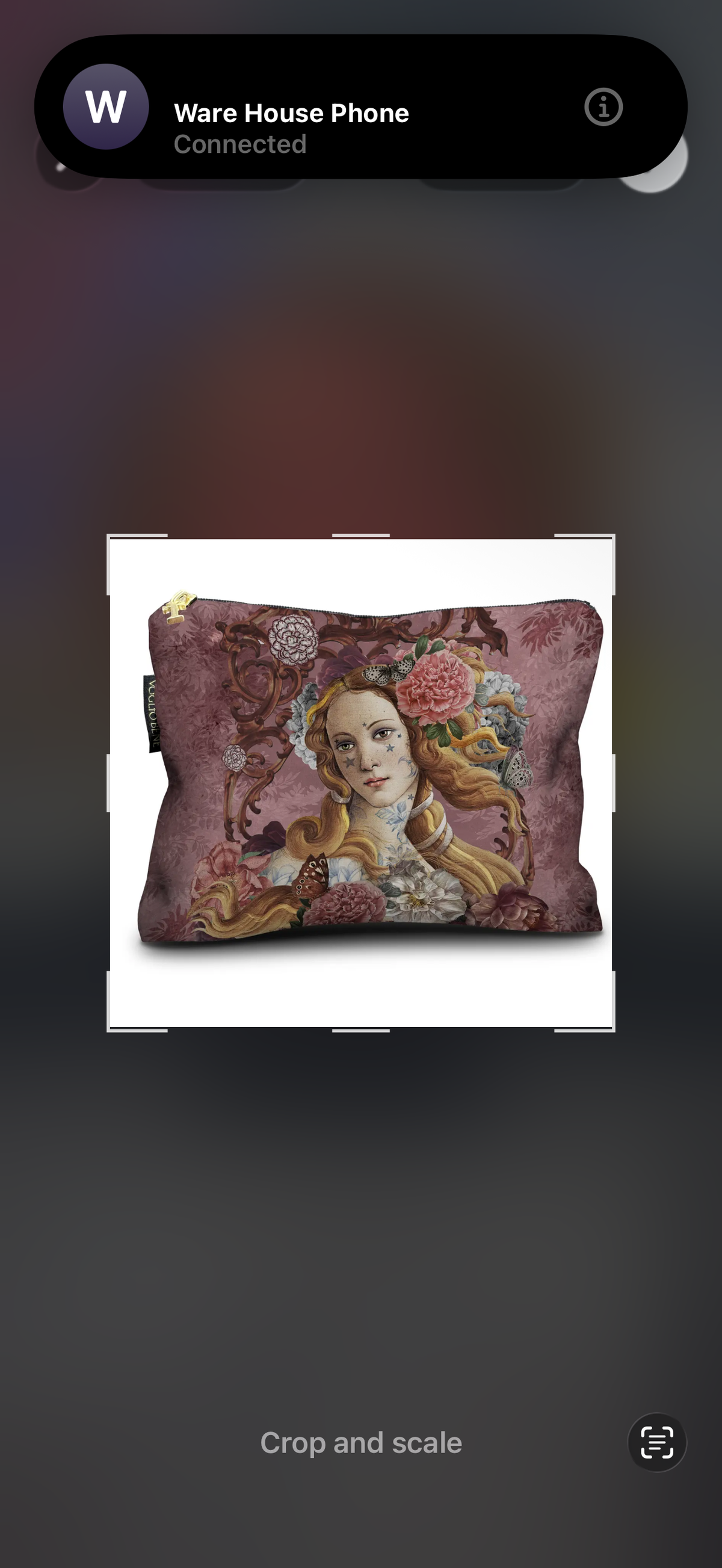 Voglio Bene venus 17x23 case