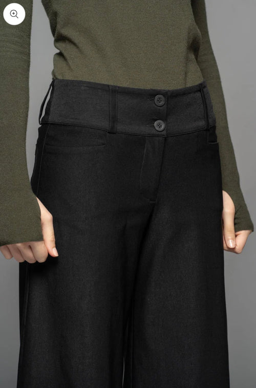 Dogstar Astro zero pants black
