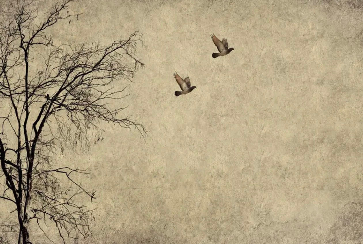  Fly away A3 size large decopage paper - Stay Wild Collective  Decor