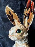 Stay Wild Collective
SONEVE Rabbit Sculpture hip hip decay