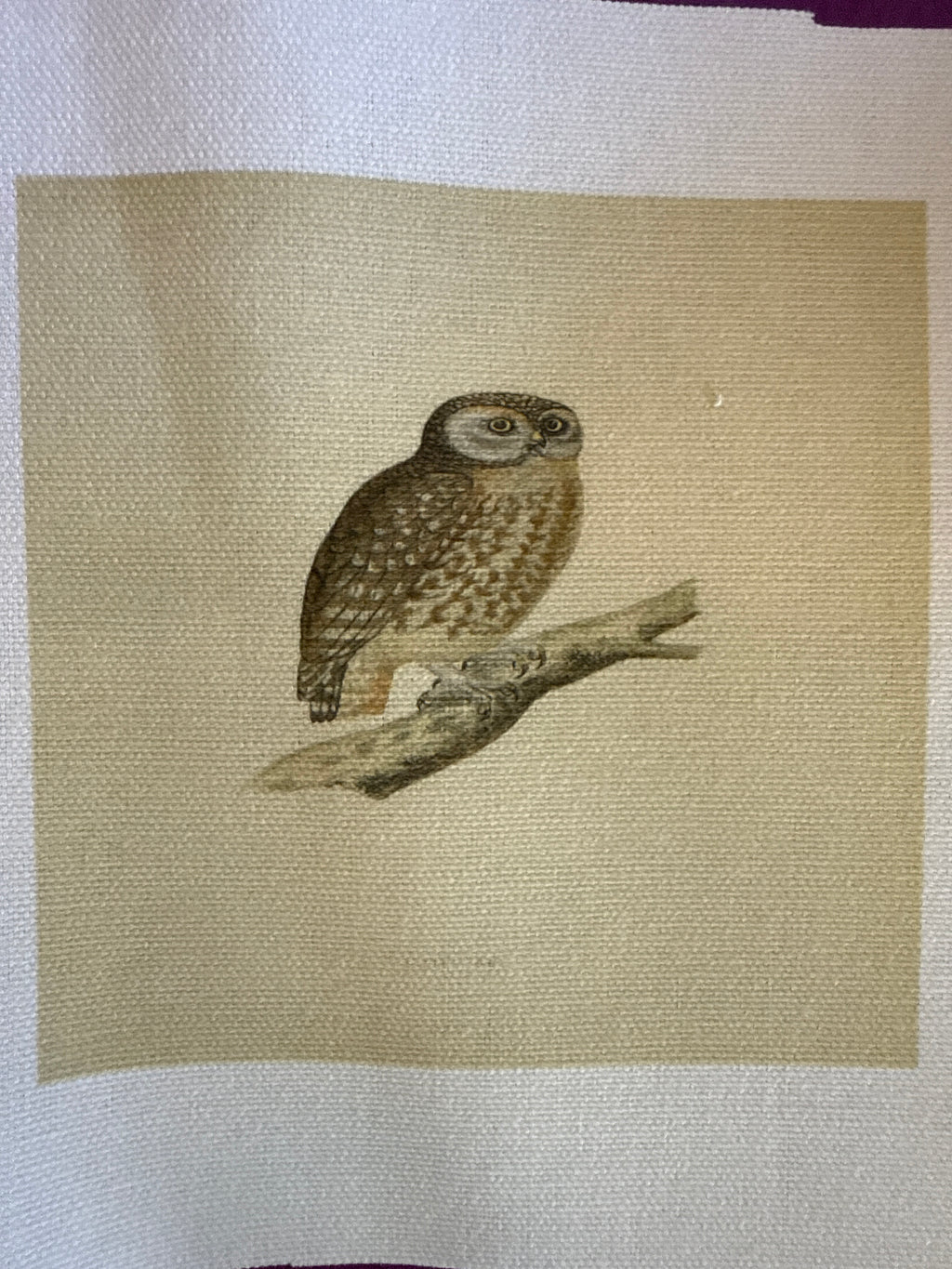 Haberdashery canvas patch small - animal designs - Stay Wild Collective