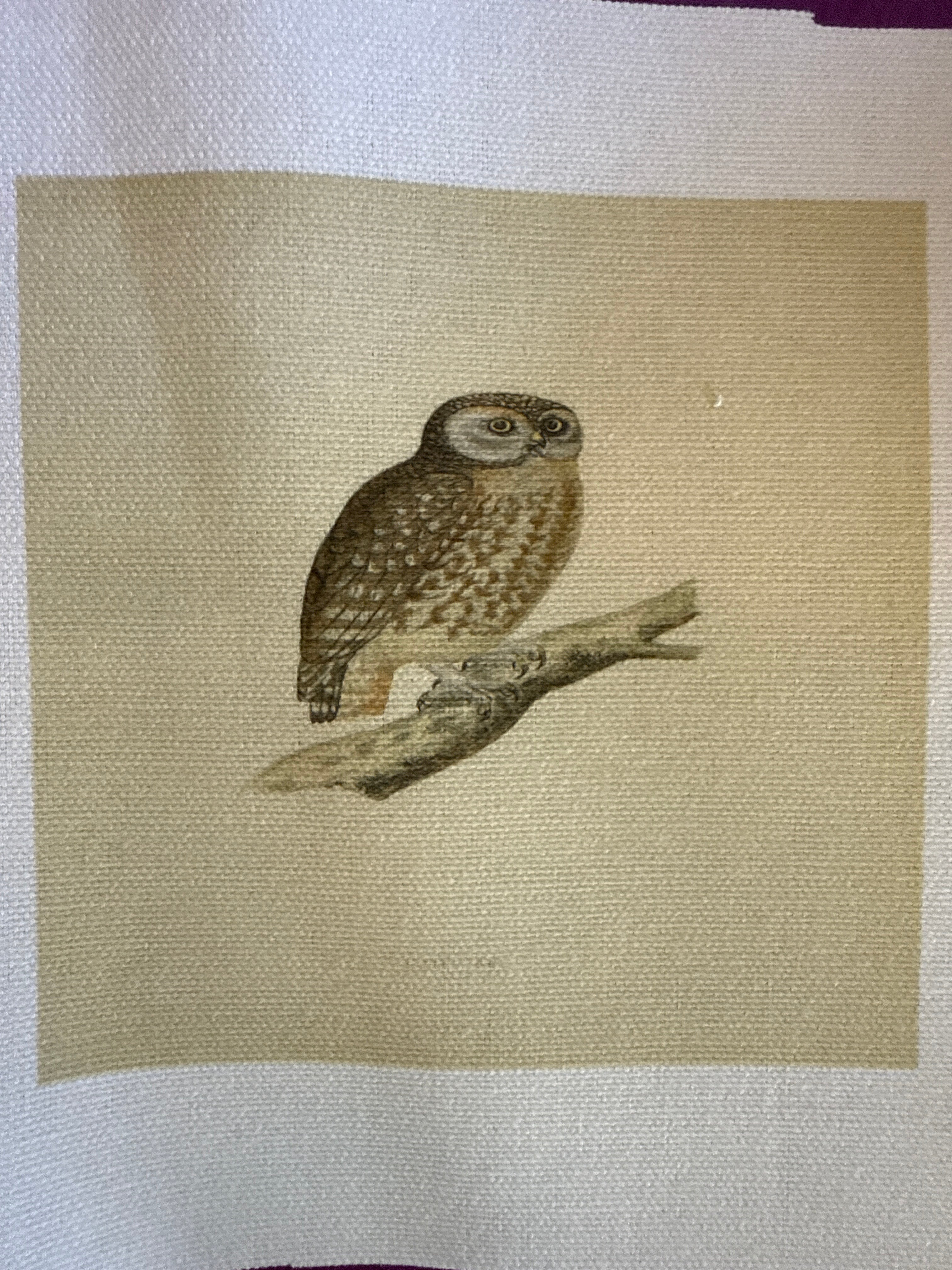 Haberdashery canvas patch small - animal designs - Stay Wild Collective