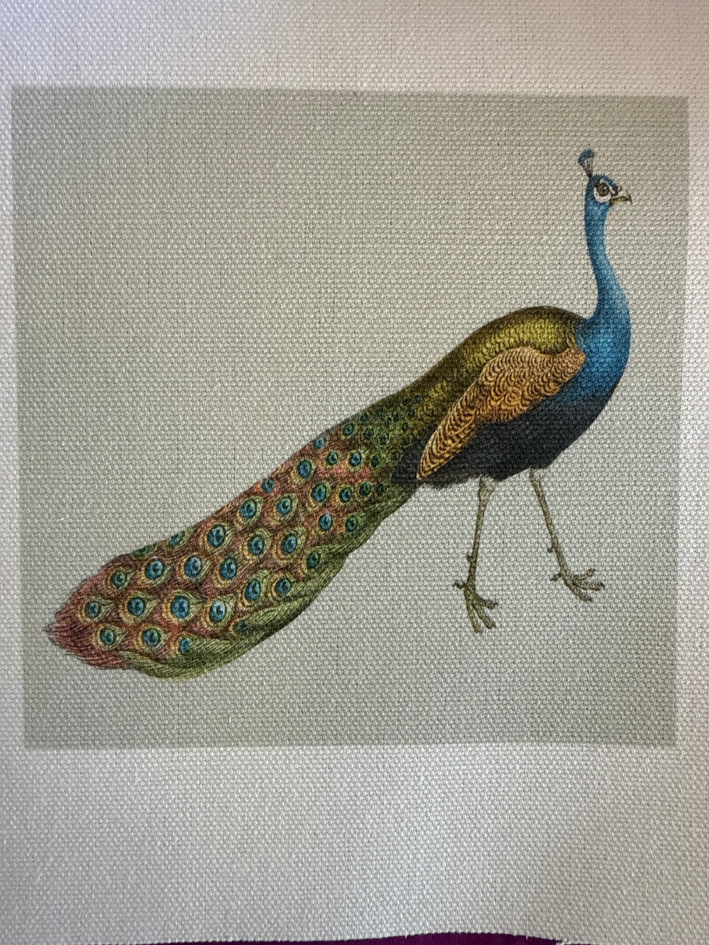 Haberdashery canvas patch small - animal designs - Stay Wild Collective