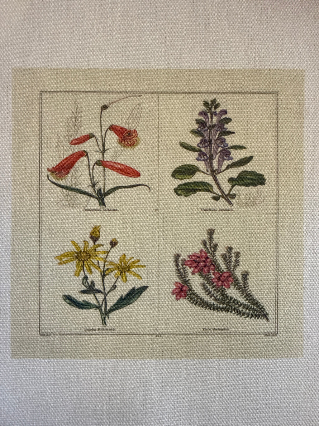 Haberdashery canvas patch small - floral designs - Stay Wild Collective