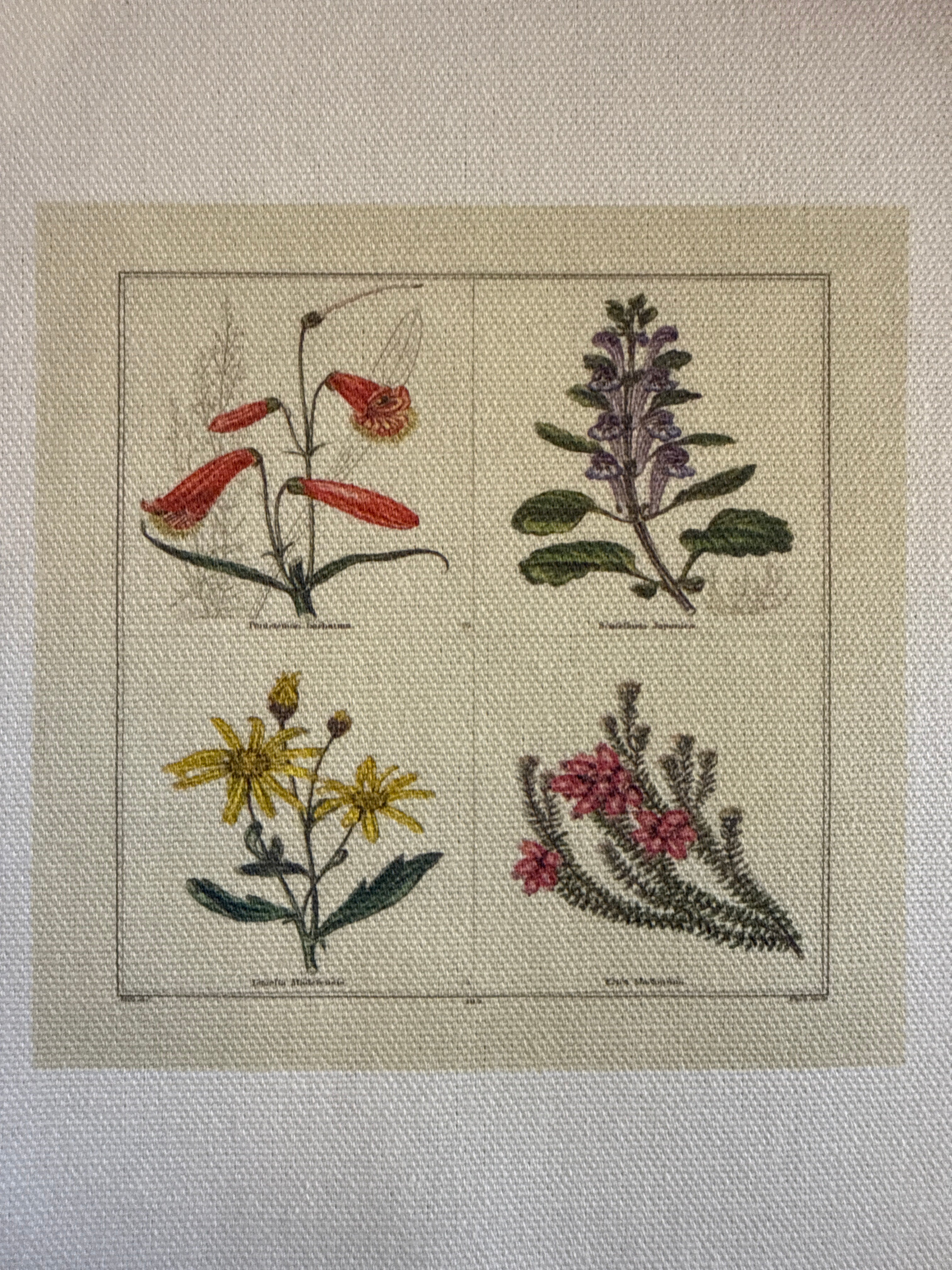 Haberdashery canvas patch small - floral designs - Stay Wild Collective