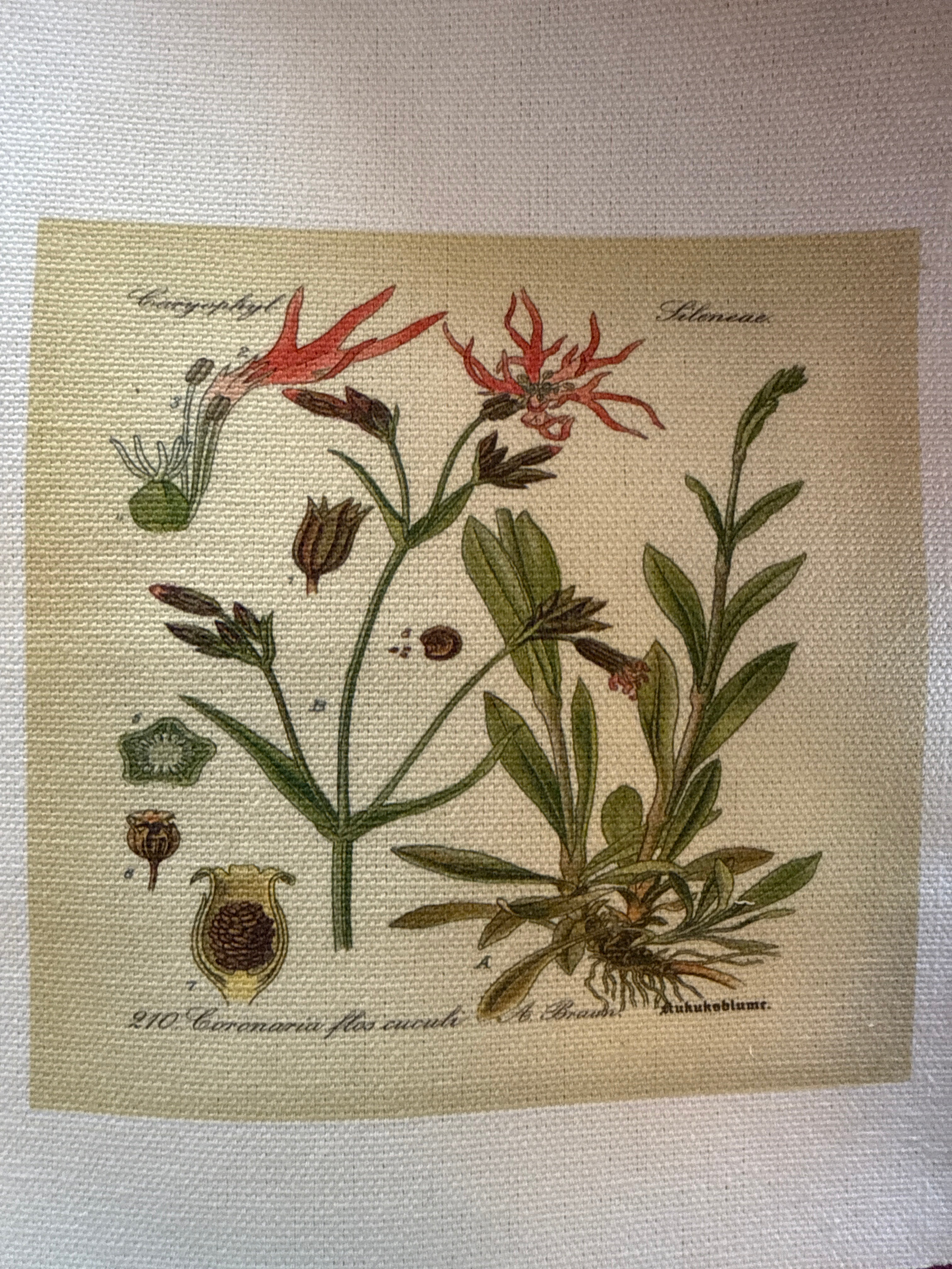 Haberdashery canvas patch small - floral designs - Stay Wild Collective