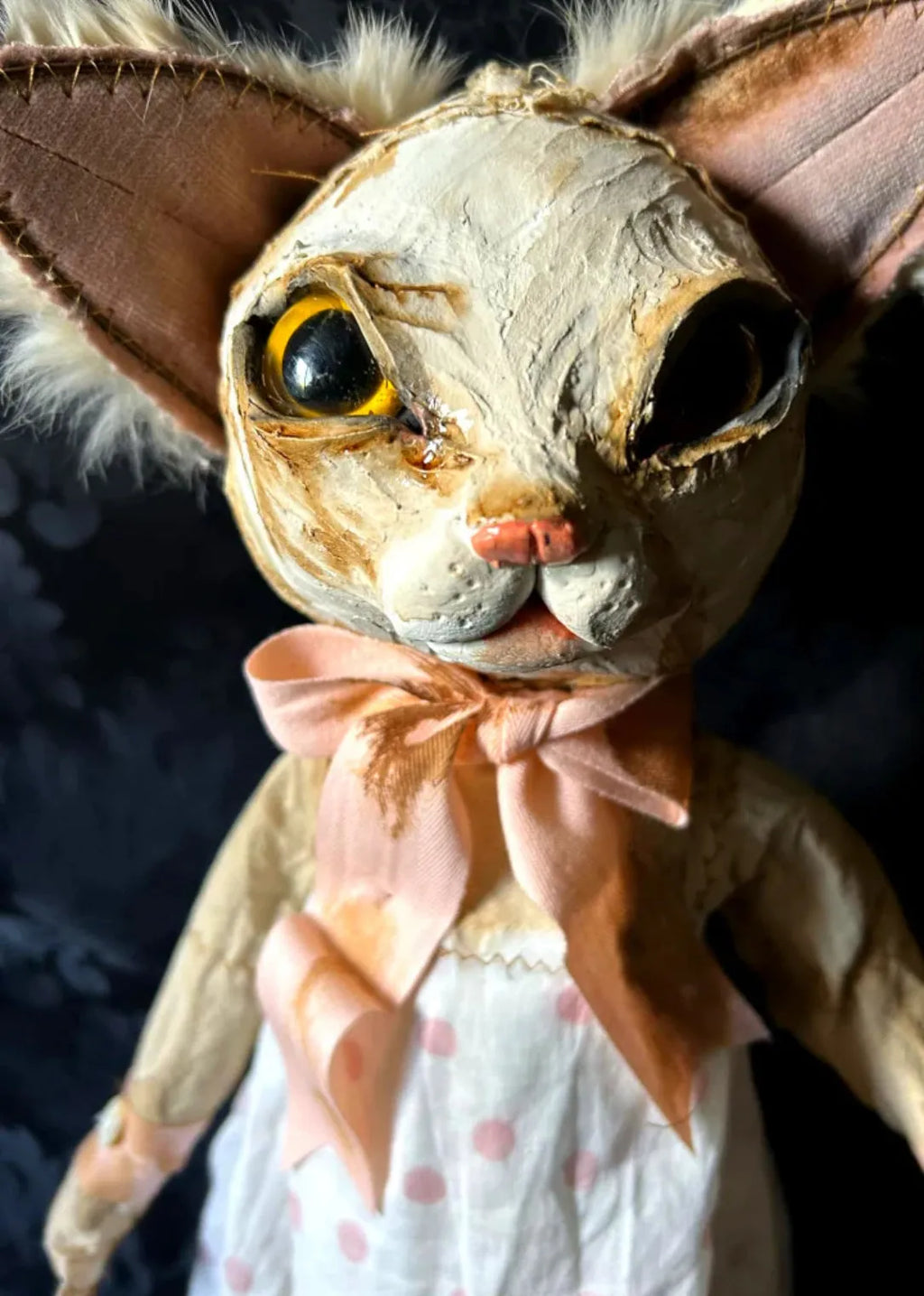 Hip hip decay indilla the cat - Stay Wild Collective  