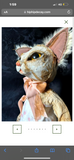 Stay Wild Collective
INDILLA Cat Sculpture hip hip decay