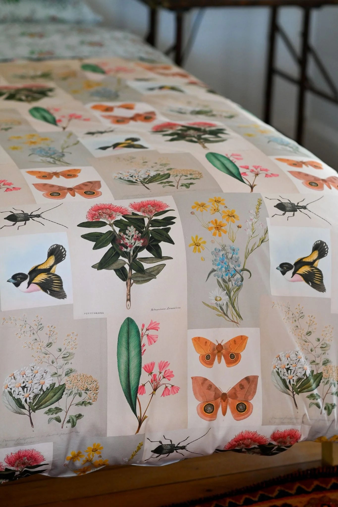 Lazybones natural world queen quilt cover
