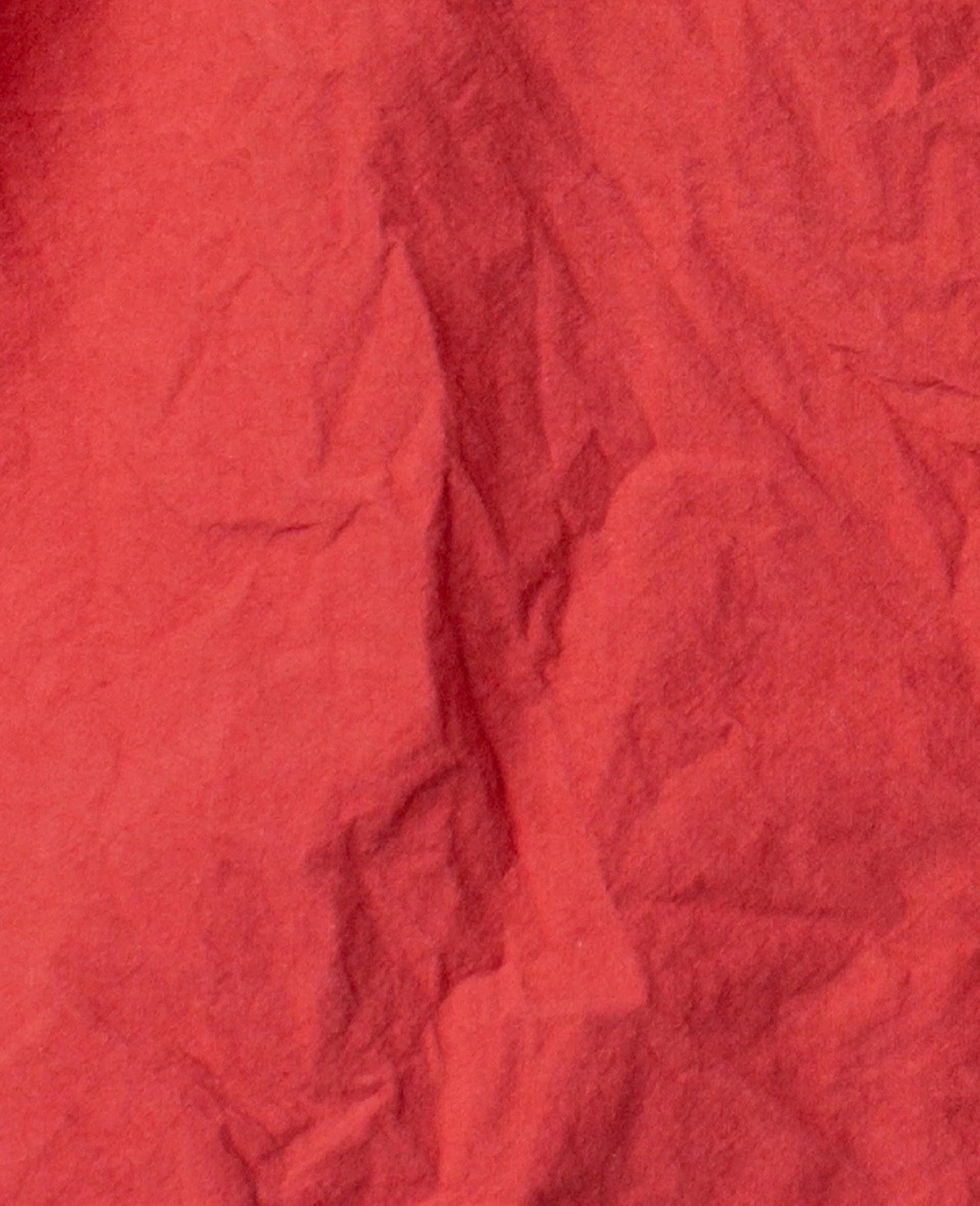  Janni rose 
TOP Ewa I walla ss26 33407 - Stay Wild Collective  