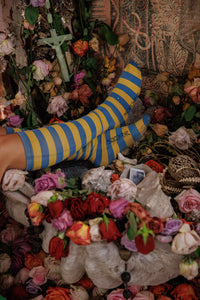 Magnolia Pearl Stripe OTK Socks 194-BIP-OS