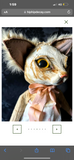 Stay Wild Collective
INDILLA Cat Sculpture hip hip decay - Stay Wild Collective  sculpture