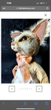 Stay Wild Collective
INDILLA Cat Sculpture hip hip decay - Stay Wild Collective  sculpture