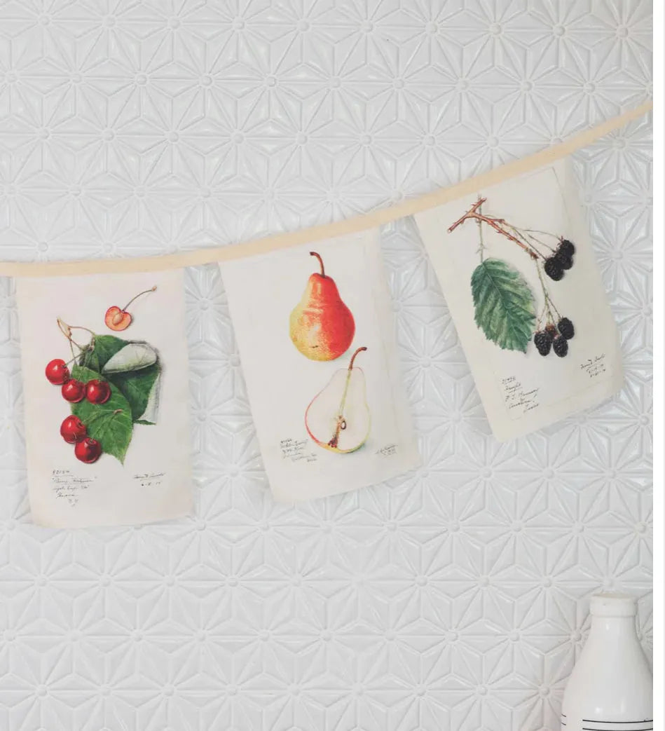 Vintage fruit garland - Stay Wild Collective  