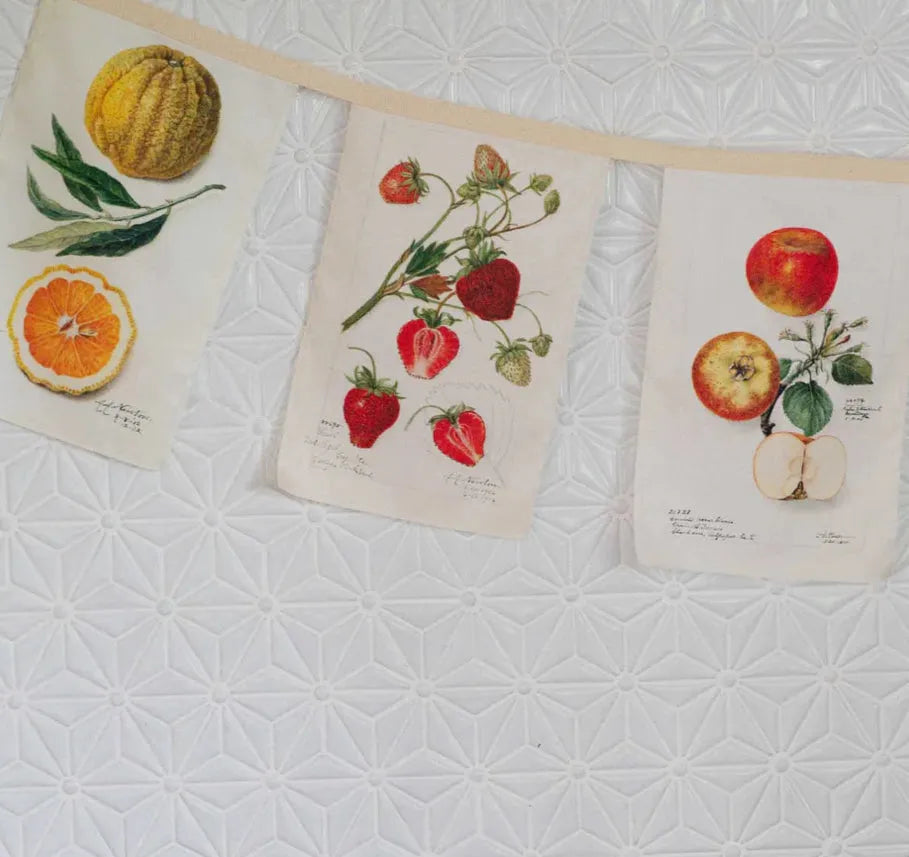 Vintage fruit garland - Stay Wild Collective  