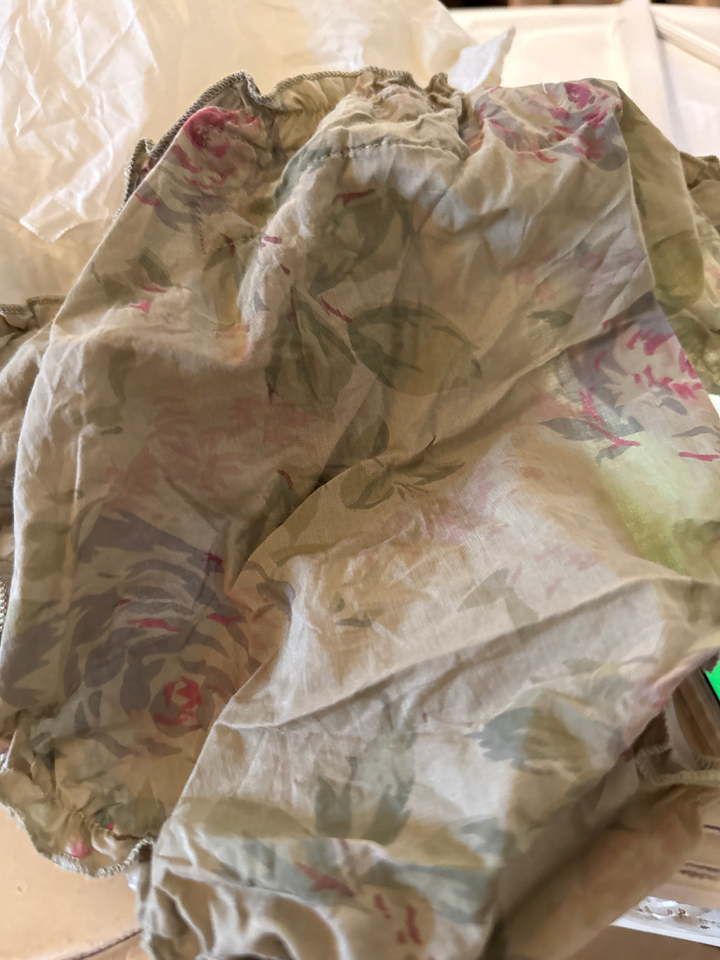  les ours panties Culotte ( Plusieurs Coloris Disponibles) - Stay Wild Collective  